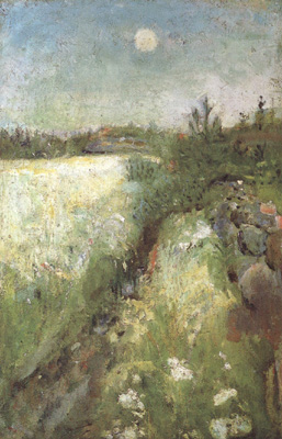 Flowering Meadow at Veierland (nn02